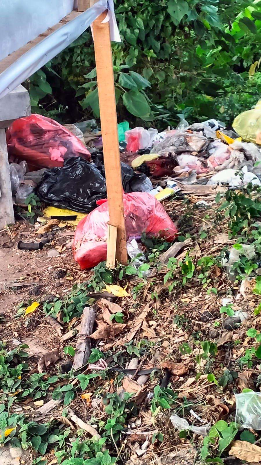 PEMBUANGAN SAMPAH LIAR DI SEPUTARAN KELURAHAN PENATIH