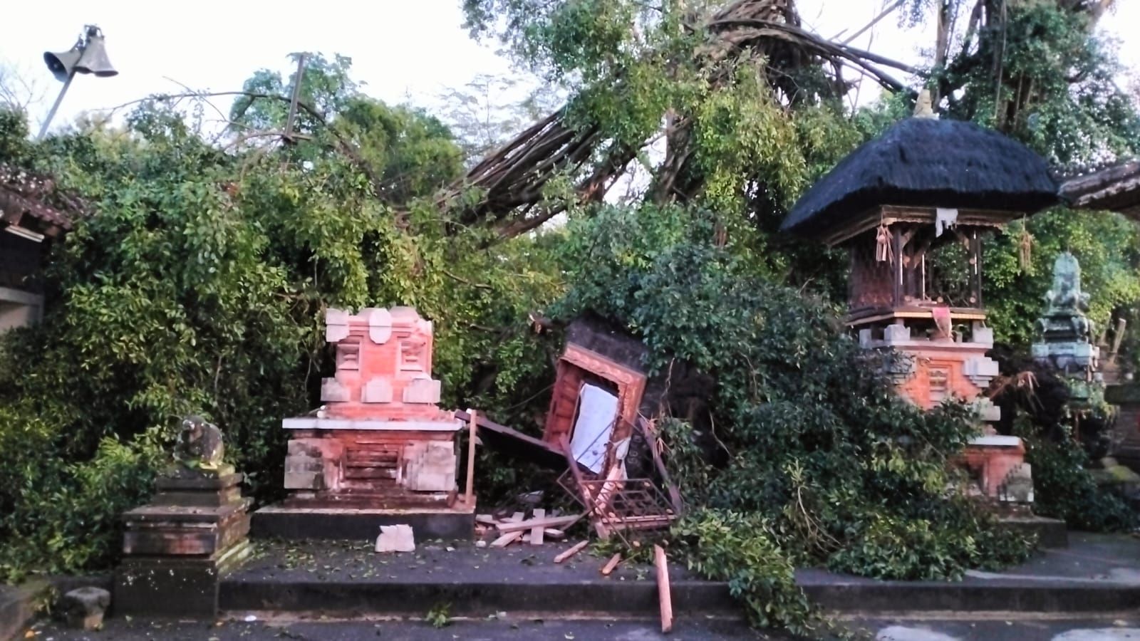 POHON TUMBANG DI PURA BATUR PANTI LINGKUNGAN TEMBAU KAJA, KELURAHAN PENATIH